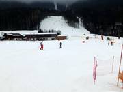 Pista facile presso la seggiovia Krallerhoflift a Leogang