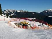 Suggerimento per i più piccoli 