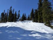 Pista con gobbe nell’area sciistica di Idre Fjäll