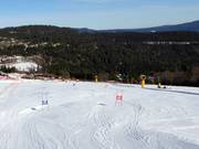 Slalom gigante parallelo per bambini con doppio cronometraggio