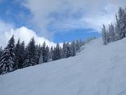 Discese molto difficili al Red Mountain