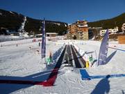 Piou Piou 2 - Tapis roulant