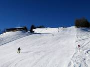 Pista Waldalm-Kreuzboden