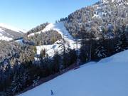 Piste tra Ponte di Legno e Temù