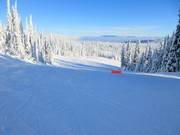 Ampia e facile pista Cahilty