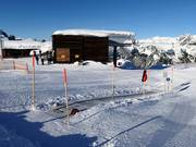 Tappeto magico Sonnenkopf 2