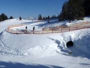 Suggerimento per i più piccoli 