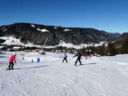 Piste facili presso la seggiovia Wannenköpflelift