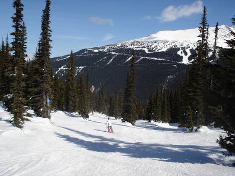 Offerta di piste Canada – Offerta di piste Whistler Blackcomb