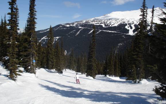 Offerta di piste Garibaldi Ranges – Offerta di piste Whistler Blackcomb