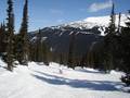 Piste Whistler Blackcomb