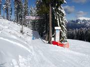 Suggerimento per i più piccoli  - Via del Bosco