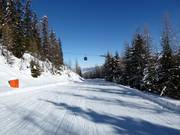 Facile discesa a valle