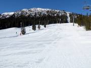 Discesa Familiebakken