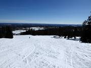 Discesa facile Solbacken