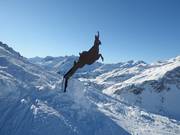 Il "Gamssprung" a Schröcken