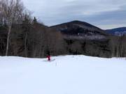 Mitik Park Tremblant