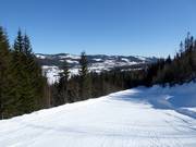 Facile pista di collegamento n. 36 verso Høgegga