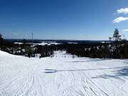 Pista 16 (Reitti Saaruaan)