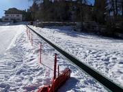 Lepre Bianca - Tapis roulant/Tappeto Magico