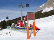 Gatto delle nevi di Didi