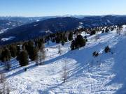 Tracce nella neve fresca