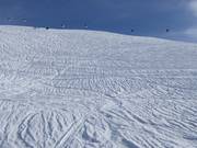 Neve fresca al Metschstand