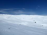 Area freeride tra gli impianti Vinkellift e Nordalslift