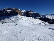 Pista Grohmann con Sellastock