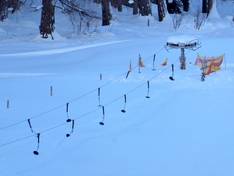 Immagini LiFu - Furom