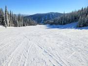 Pista ampia e facile Smile