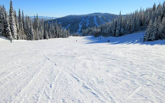Offerta di piste Thompson-Nicola – Offerta di piste Sun Peaks