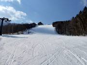 Pista intermedia Training