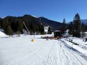 Sciovia Lyra-Skikuli