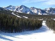 Splendide discese tra i boschi al June Mountain