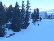 Übungslift Bergstation - Manovia/Babylift a fune bassa