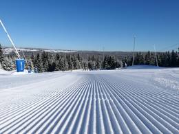 Plešivec - Abertamy