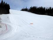 Discesa intermedia Stjärnbacken