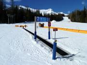 Tappeto magico e area bambini Mini Moose