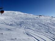 Discese in neve fresca al Lastè