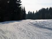 Pista da fondo alla Bleamlalm