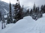 Abbastanza neve naturale nell’area sciistica Whitewater