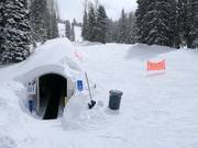 Area di esercitazione presso il tappeto mobile Caterpillar