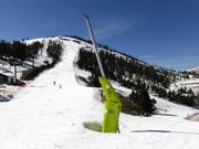 Innevamento completo a Pal-Arinsal