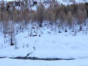 Pista da fondo Lazinser Tal