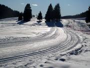 Pista da fondo a Madonna di Campiglio