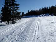 Piste da sci di fondo a Trysil
