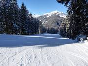 Facile discesa Sattel