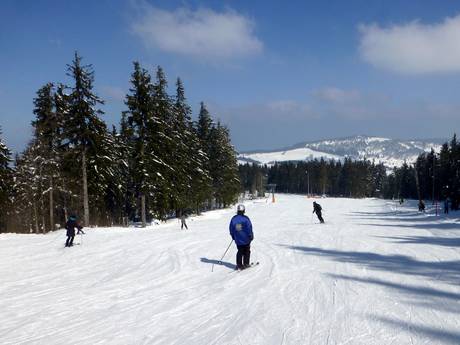 Offerta di piste Dreisamtal – Offerta di piste Haldenköpfle