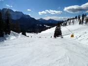 Discesa facile Tschein